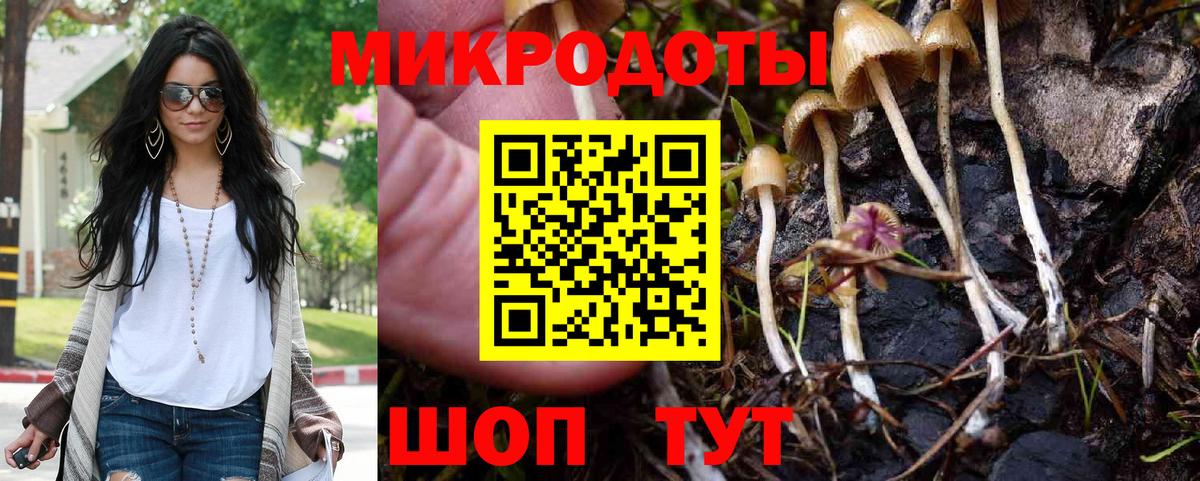 Галлюциногенные грибы мицелий  Вход с VPN  Костомукша 