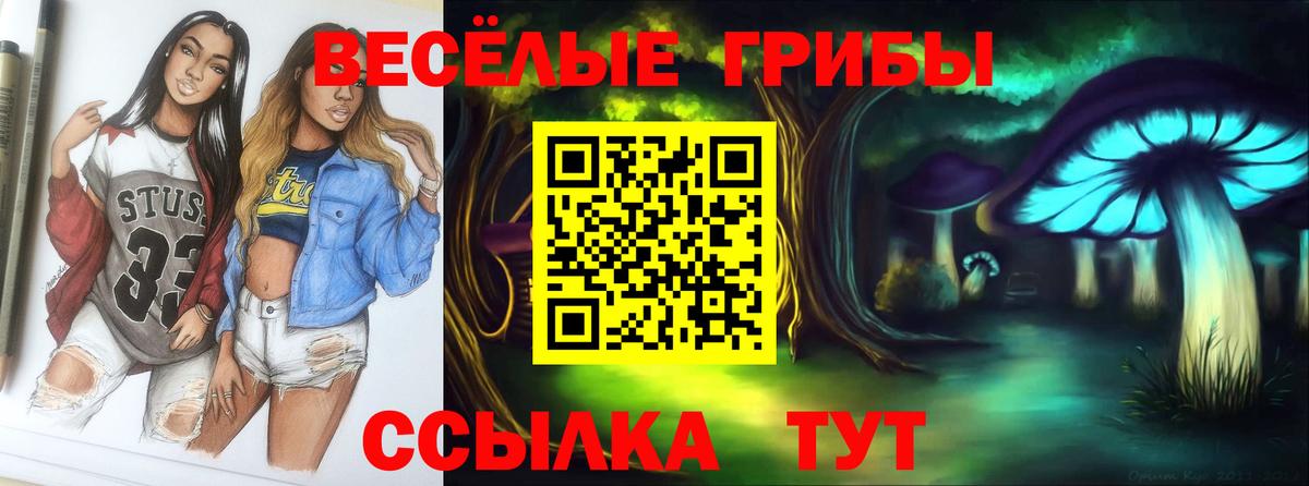 Псилоцибиновые грибы MAGIC MUSHROOMS Костомукша